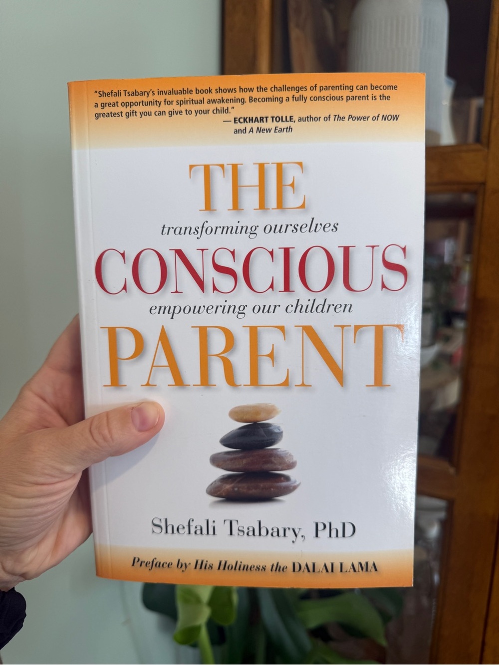 The Conscious Parent - transforming ourselves, empowering our children